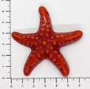 Estrella de Mar resina (mod 2) naranja x 1un