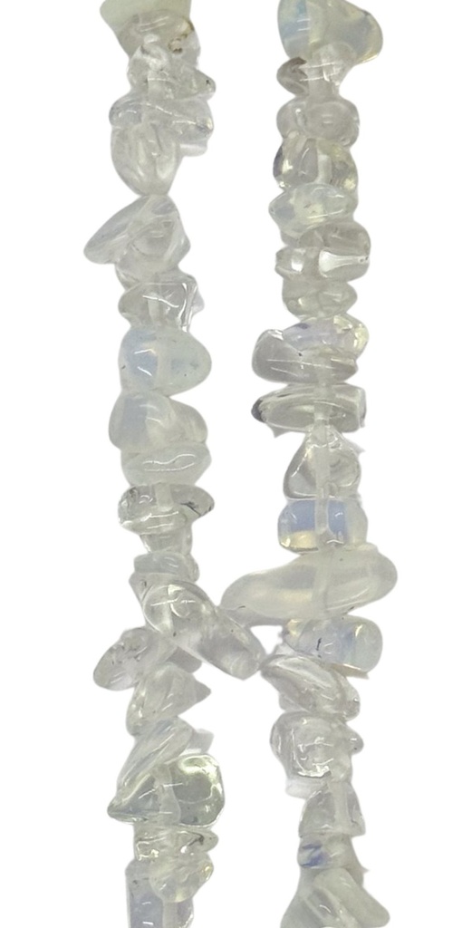 Escallas opalina x tira  