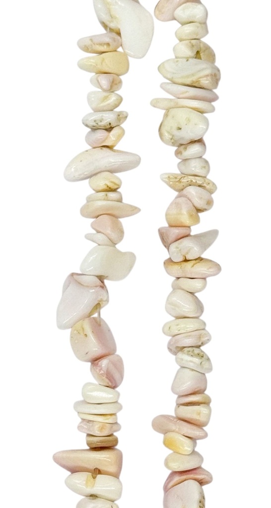 Escallas nacar pulido x tira 