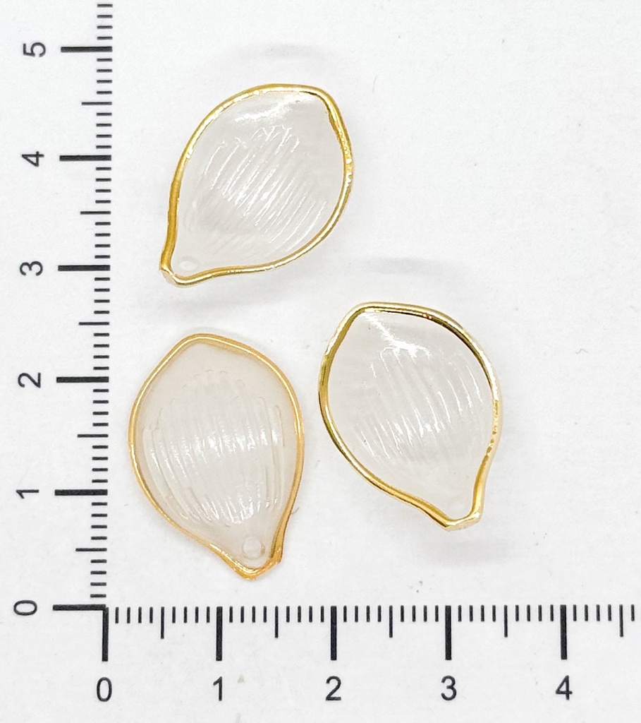 Caracoles ostras transparente beige x 10gr