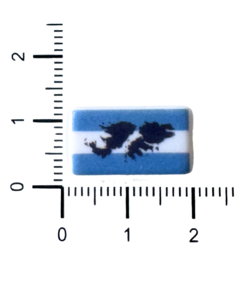 Plástico bandera Argentina Malvinas x 5 un. 