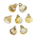 Dije plástico mar ostra #1 x 10gr