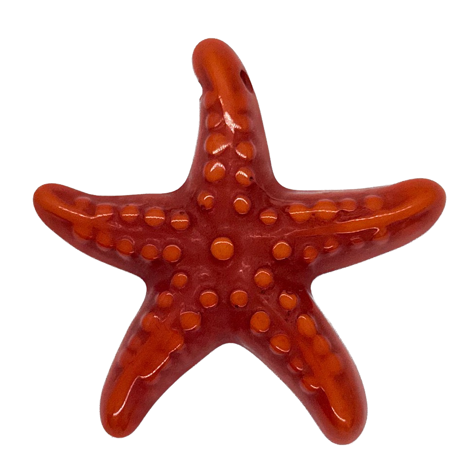 Estrella de Mar resina (mod 2) naranja x 1un