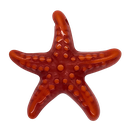 Estrella de Mar resina (mod 2) naranja x 1un