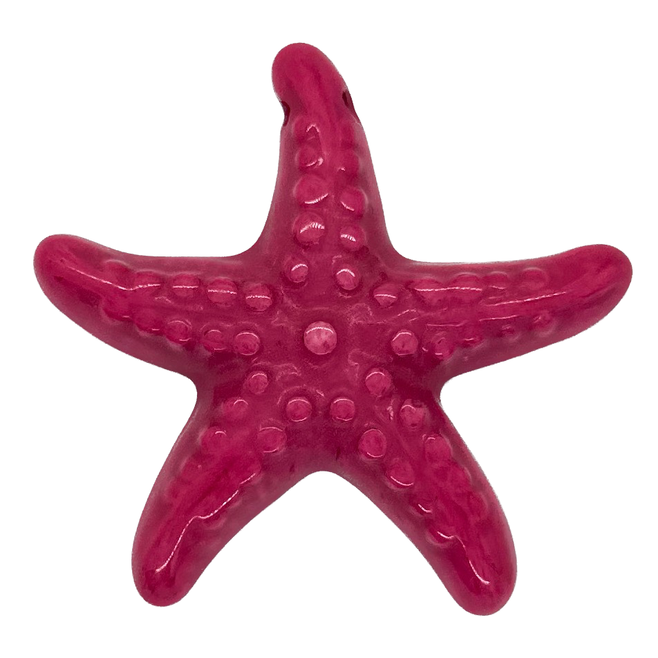 Estrella de Mar resina (mod 2) fucsia x 1un