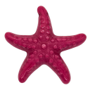 Estrella de Mar resina (mod 2) fucsia x 1un