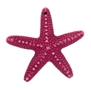Estrella de Mar resina (mod 1) fucsia x 1un 