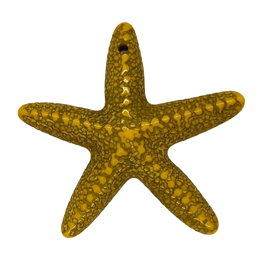 Estrella de Mar resina (mod 1) amarilla x 1un  
