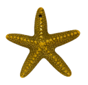 Estrella de Mar resina (mod 1) amarilla x 1un  