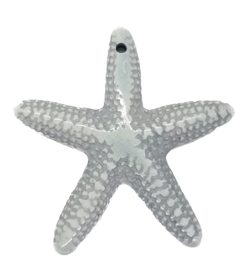 Estrella de Mar resina (mod 1) celeste x 1un   