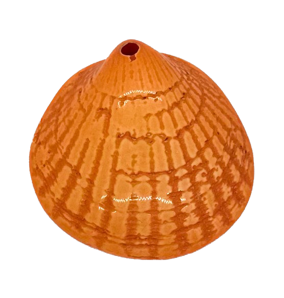 Ostra resina (mod 1) naranja x 1un 