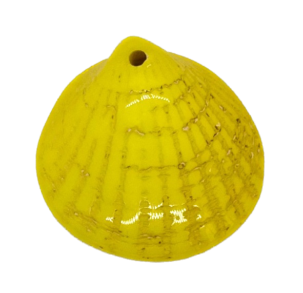 Ostra resina (mod 1) amarillo x 1un  