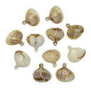 Dije plástico mar ostra #3 x 10gr  