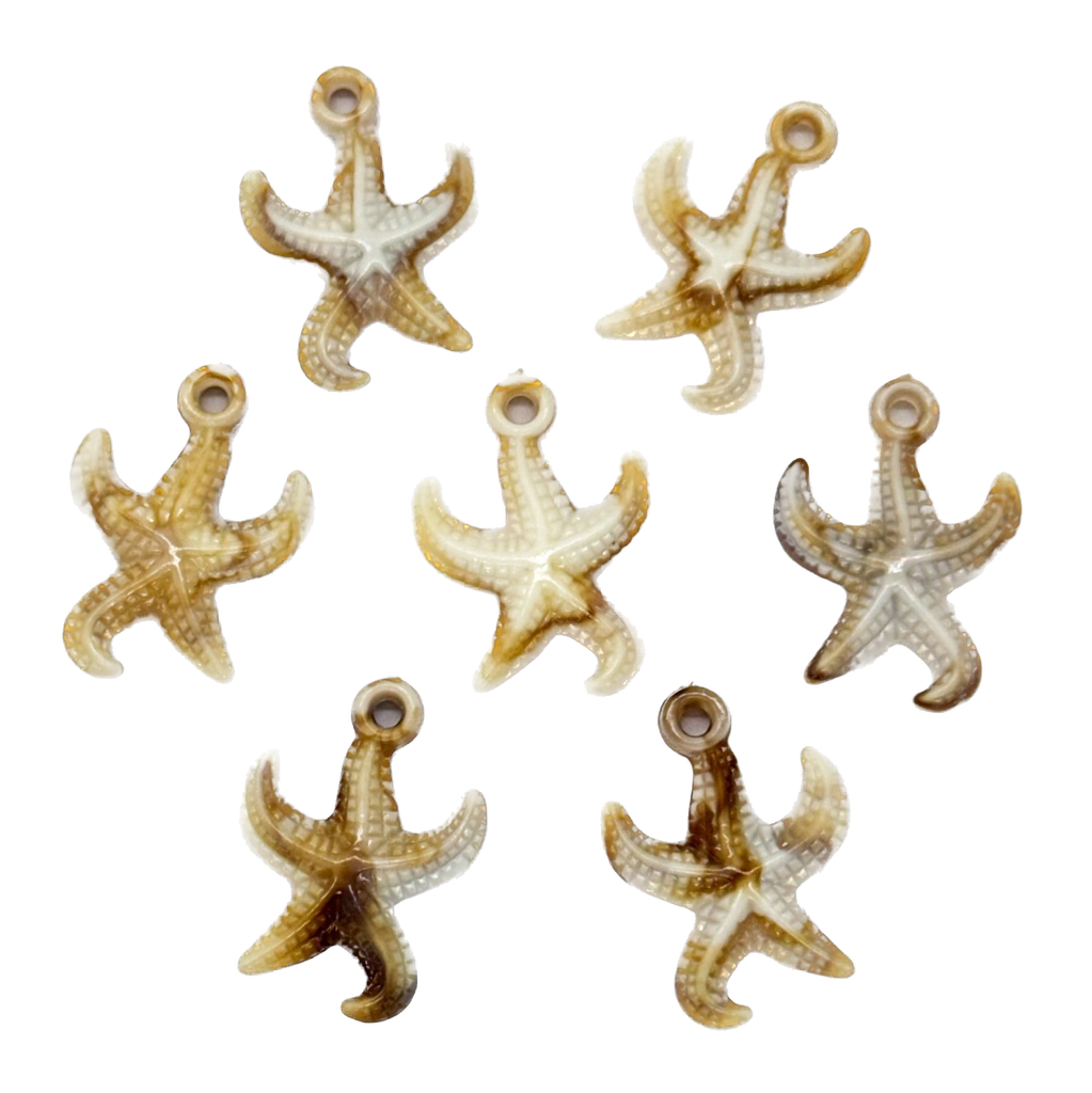 Dije plástico mar estrella #2 x 10gr 