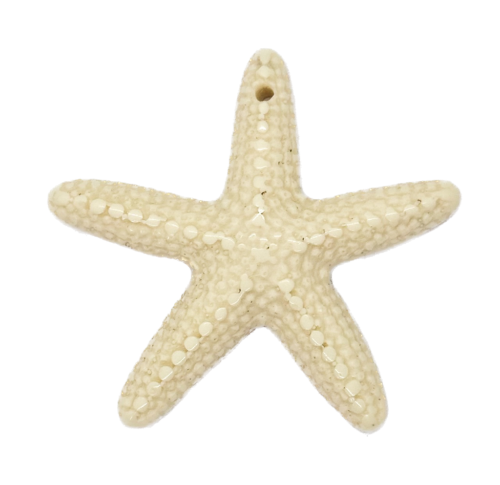 Estrella de Mar resina (mod 1) natural x 1un 