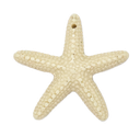 Estrella de Mar resina (mod 1) natural x 1un 