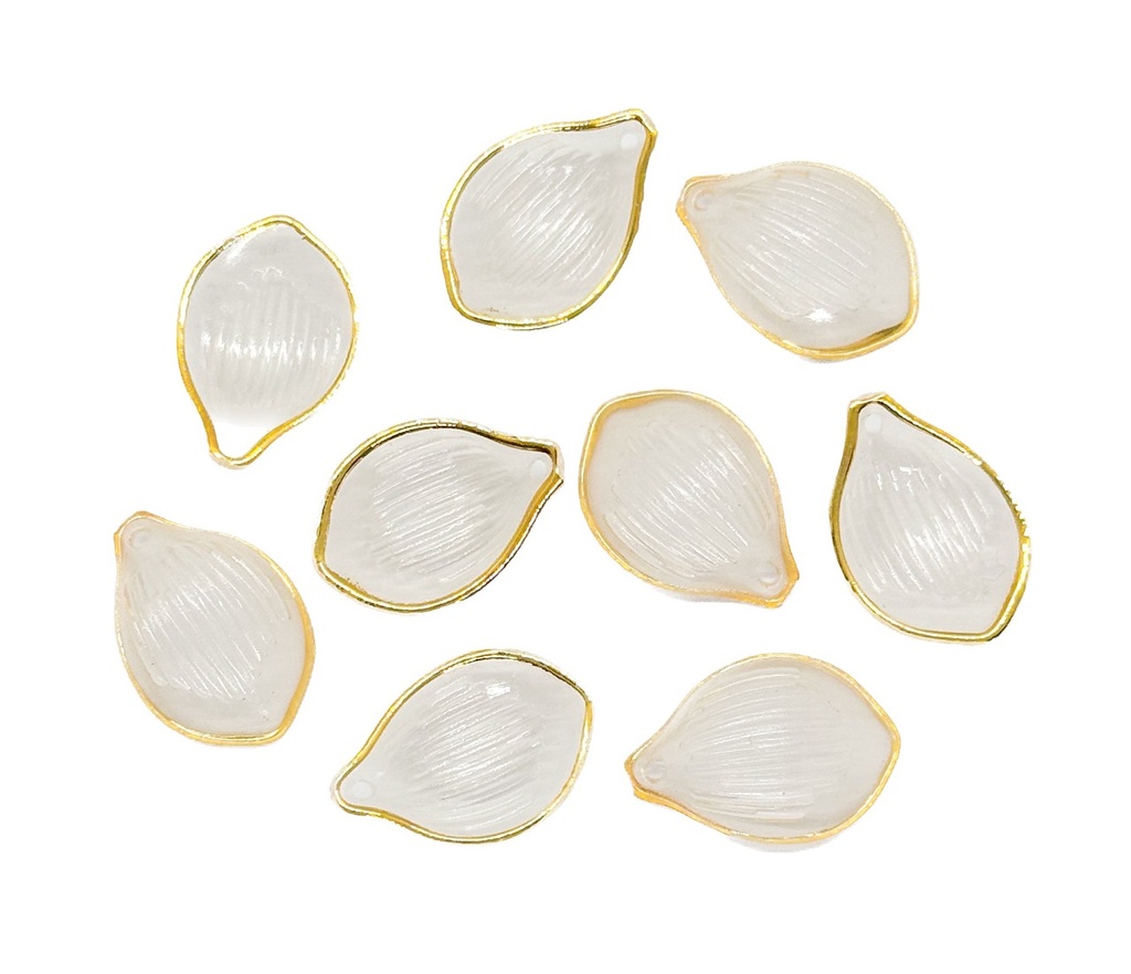 Caracoles ostras transparente beige x 10gr