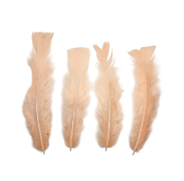 Plumas Gallo mediana beige
