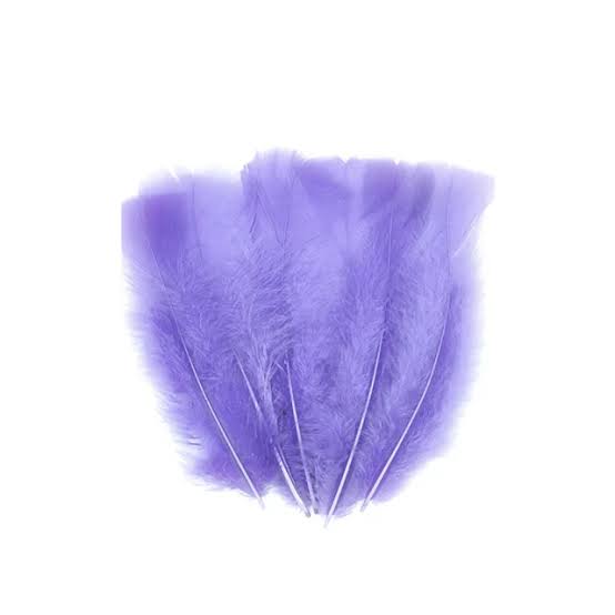 Plumas Gallo mediana lavanda