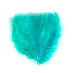 Plumas Gallo mediana aqua