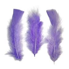 Plumas Gallo lila