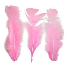 Plumas Gallo rosa