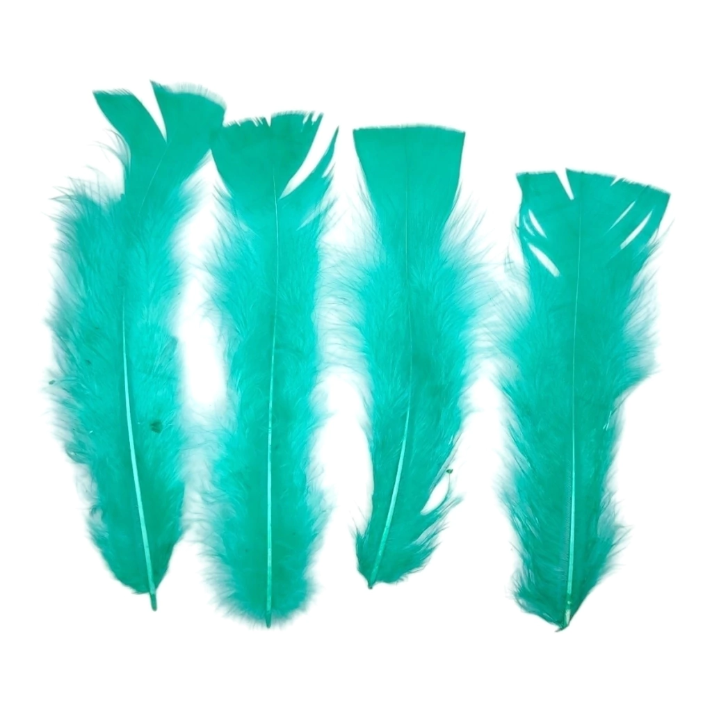 Plumas Gallo aqua