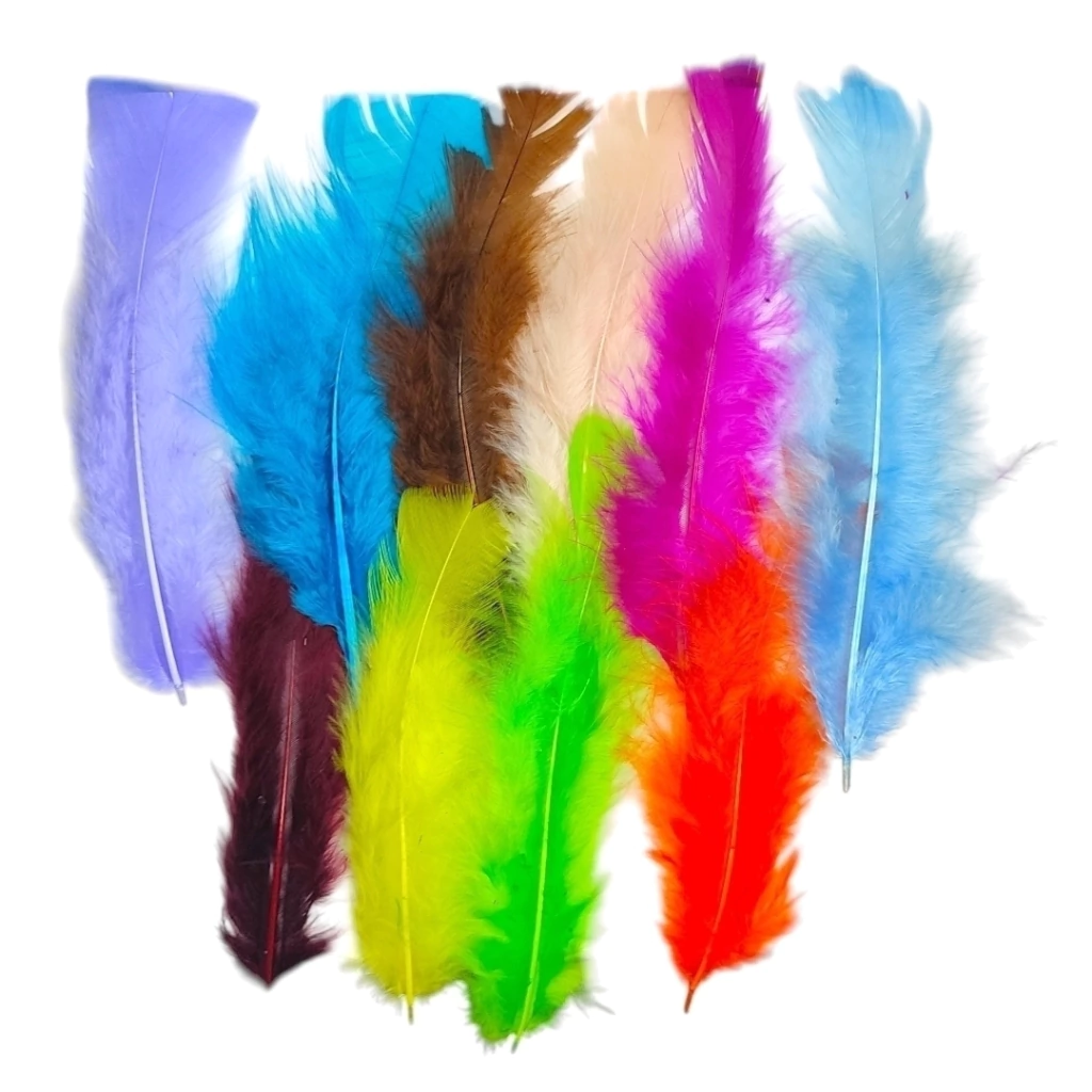Plumas gallo multicolor x 10 un.