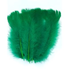 Plumas Gallito verde