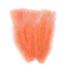 Plumas Gallito salmon