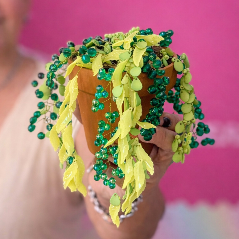 Seña- Workshop Macetita en tendencia 26/03/2026 