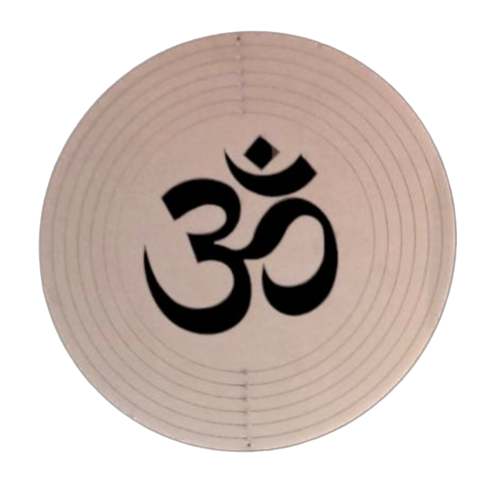 Mandala viento acero inoxidable OHM 22cm 