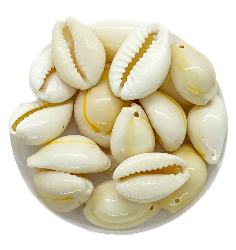 Caracoles buzios naturales p/colgar mediano x 20g