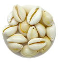Caracoles buzios naturales p/colgar mediano x 20g