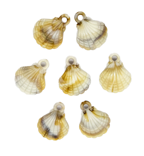 [10266] Dije plástico mar ostra #1 x 10gr