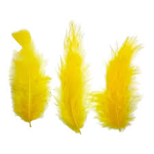 Plumas Gallito amarilla 