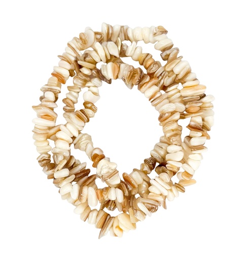 [10759] Escallas nacar x tira