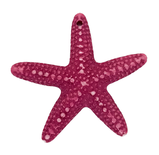[10228] Estrella de Mar resina (mod 1) fucsia x 1un 