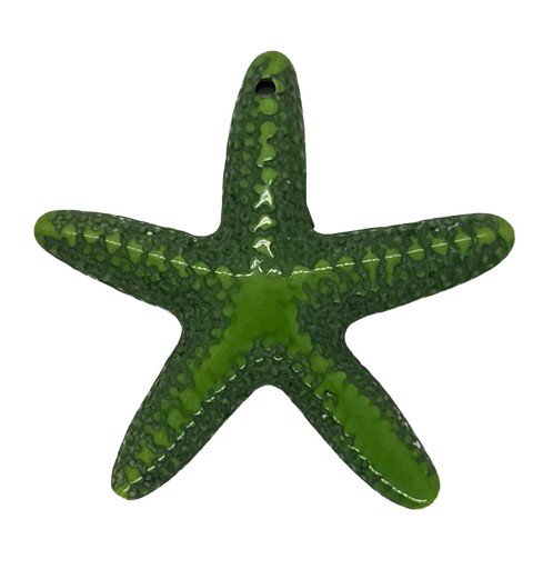 [10228] Estrella de Mar resina (mod 1) verde x 1un