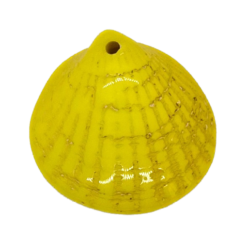 [10228] Ostra resina (mod 1) amarillo x 1un  