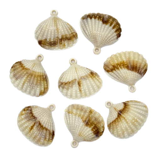 [10266] Dije plástico mar ostra #2 x 10gr 