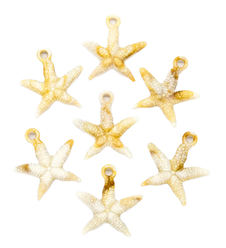 [10266] Dije plástico mar estrella #1 x 10gr 