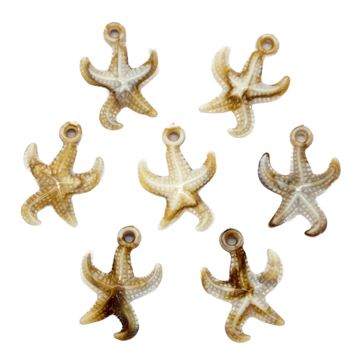 [10266] Dije plástico mar estrella #2 x 10gr 