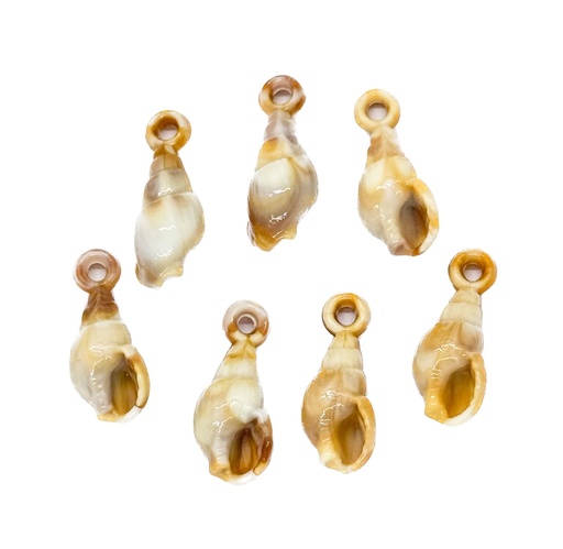 [10266] Dije plástico mar caracol marmolado x 10gr