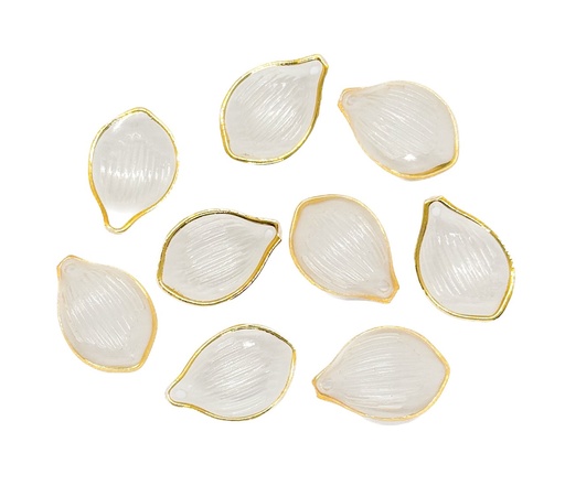 [11346] Caracoles ostras transparente beige x 10gr