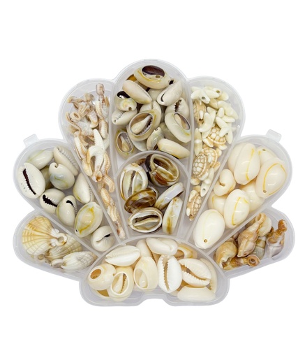 [11816] Kit Nacar Ostra verano 