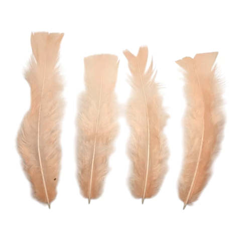 Plumas Gallo beige