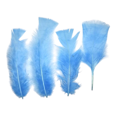 Plumas Gallo celeste 