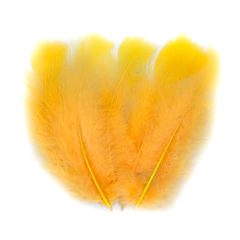 Plumas Gallito amarillo oro