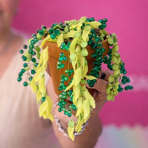 Seña- Workshop Macetita en tendencia 17/03/2026 